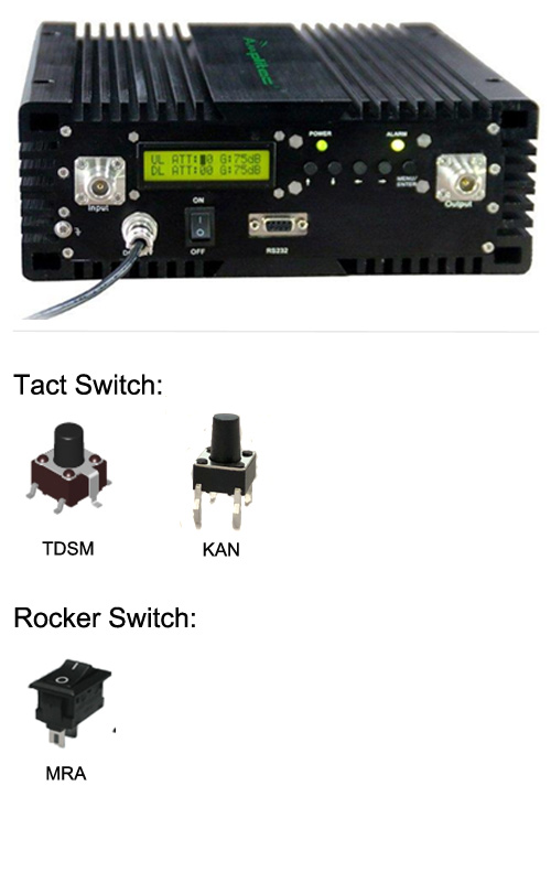 Dual frequency band repeater